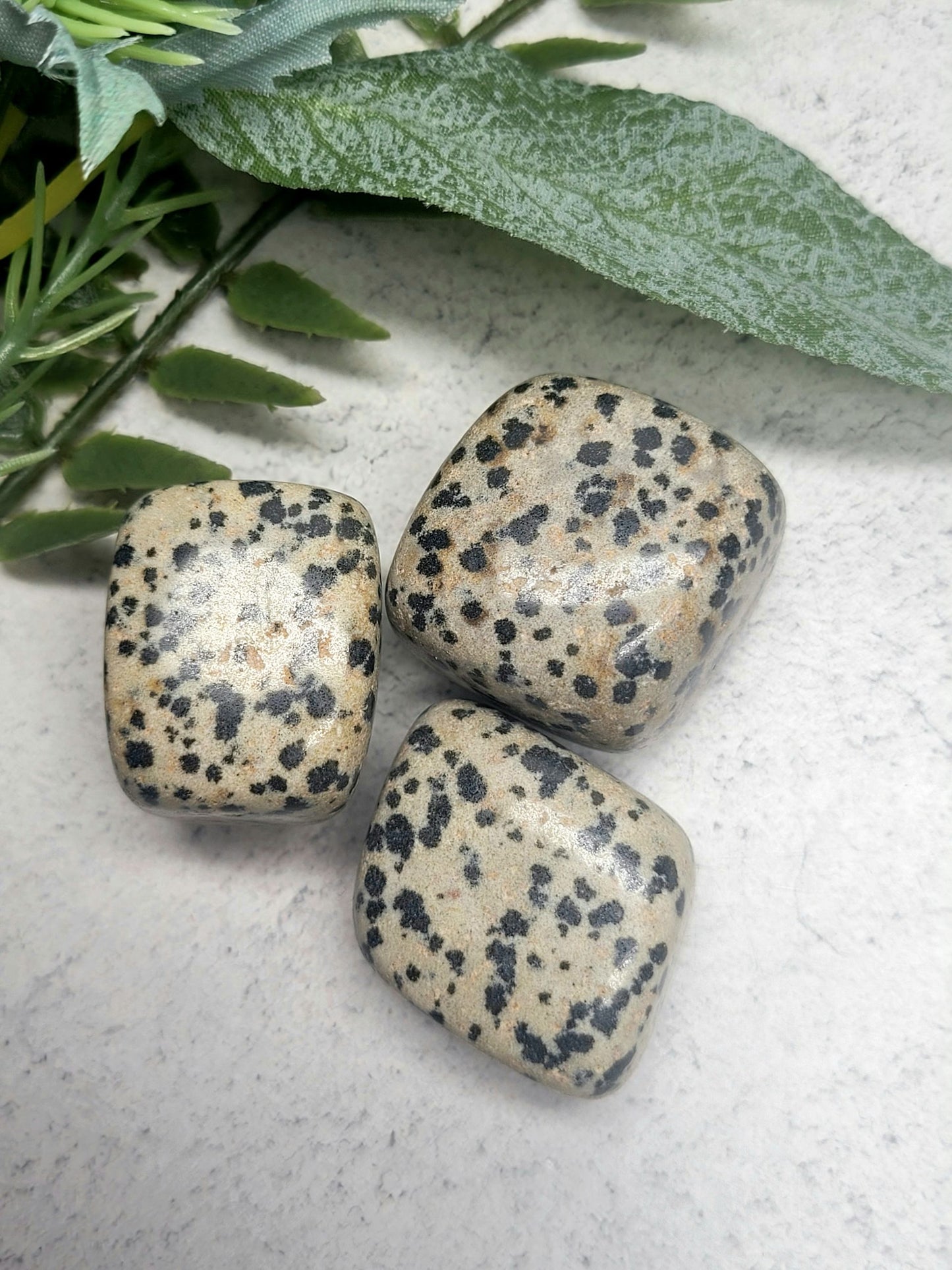 Dalmatian Jasper Tumble Stone image 0