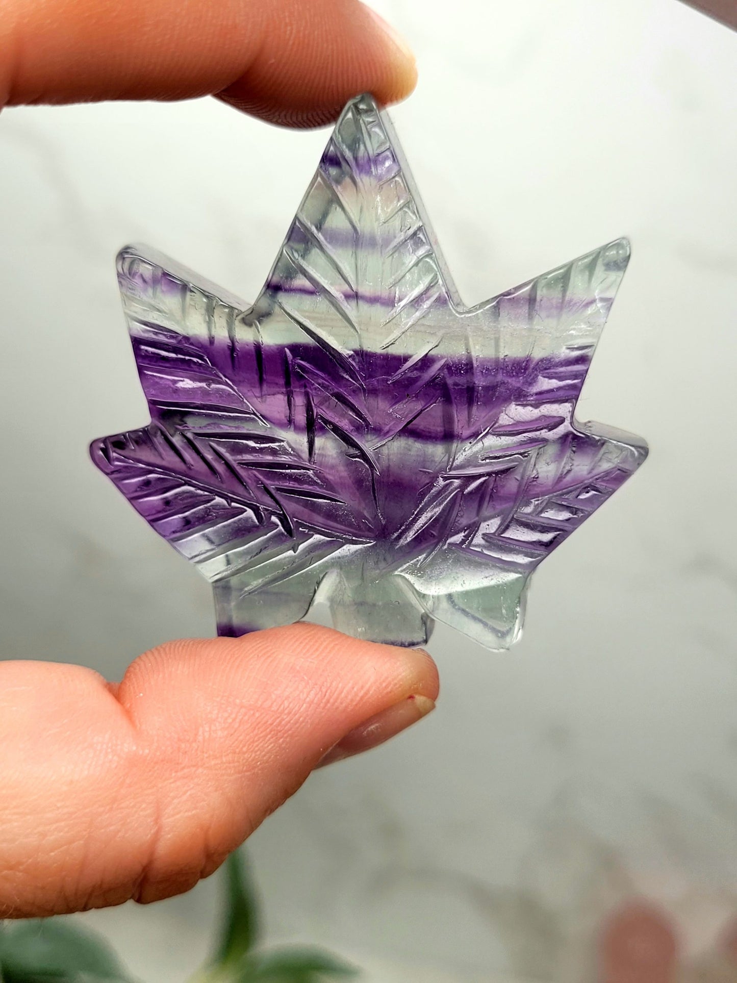 Fluorite Leaf - Fluorite 2 image