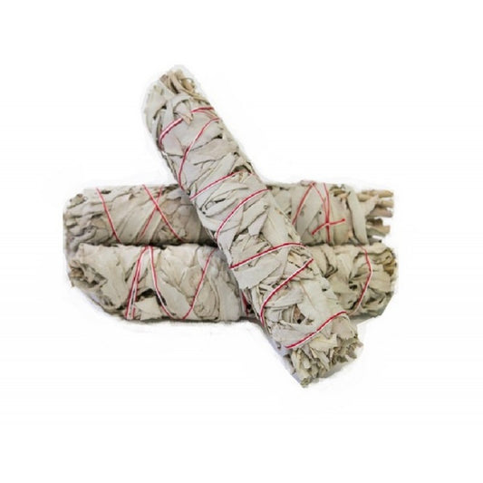 Californian White Sage Smudge stick XXL 20cm image 0