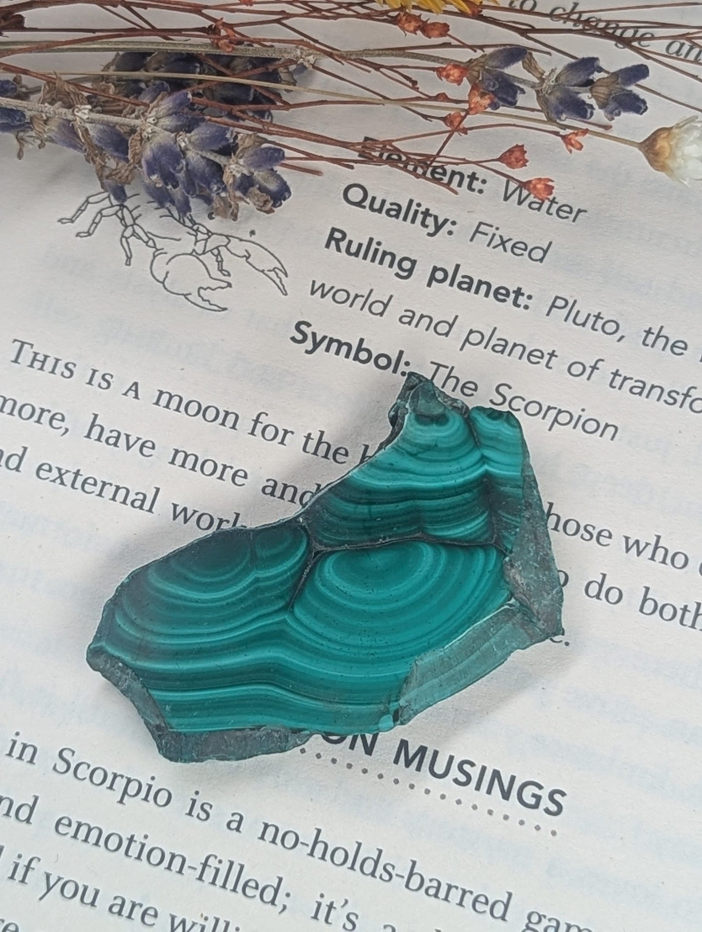 Malachite Slices - Two image