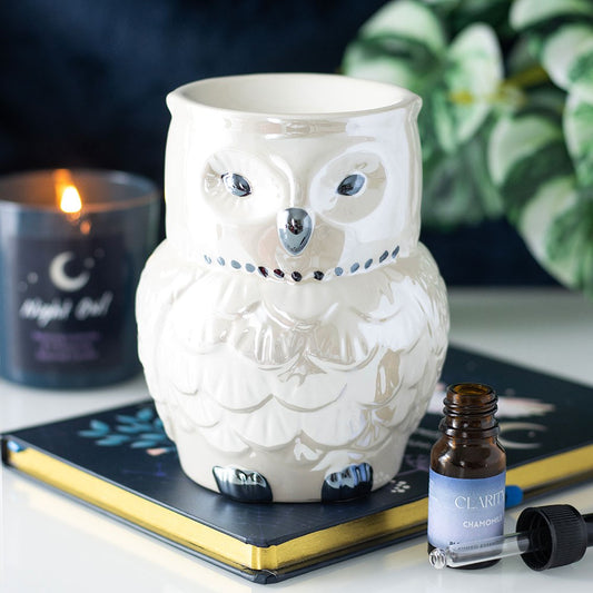 Owl iridescent wax melt/oil burner image 0