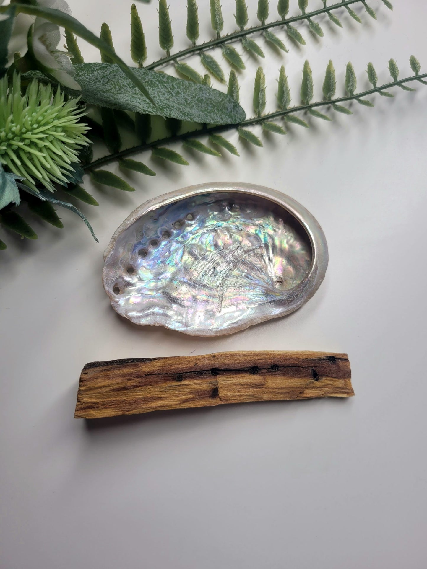 Palo Santo & Mini Abalone shell image 0