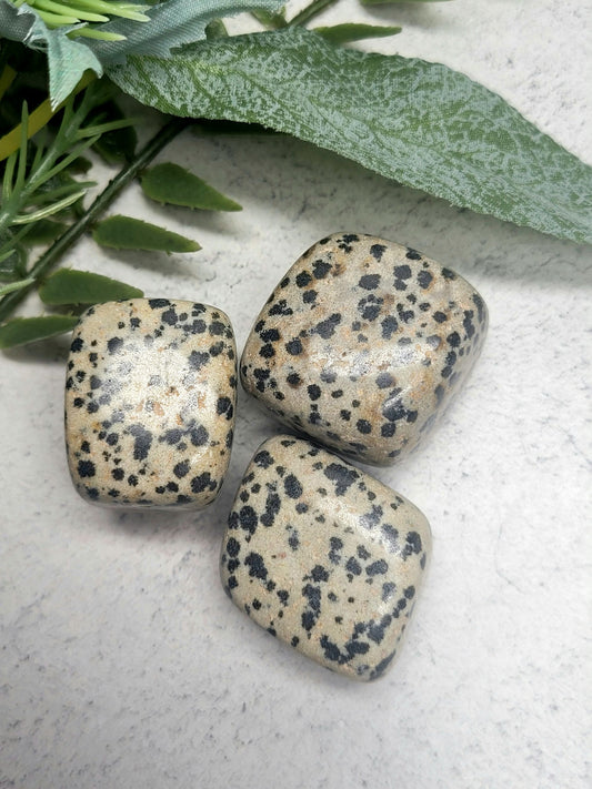 Dalmatian Jasper Tumble Stone image 0