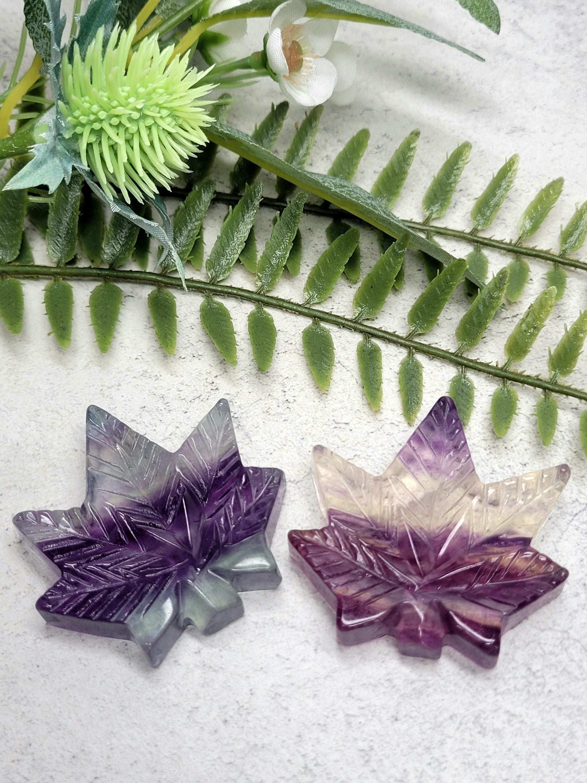 Fluorite Leaf image 0