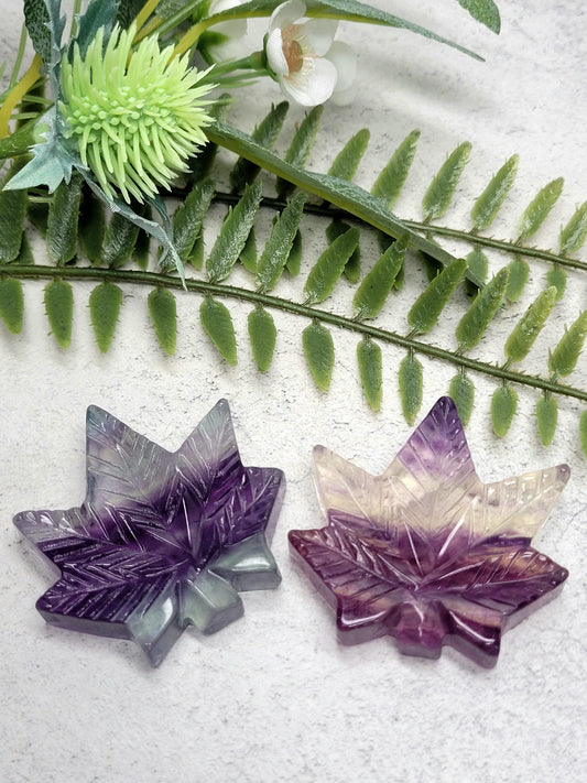 Fluorite Leaf image 0