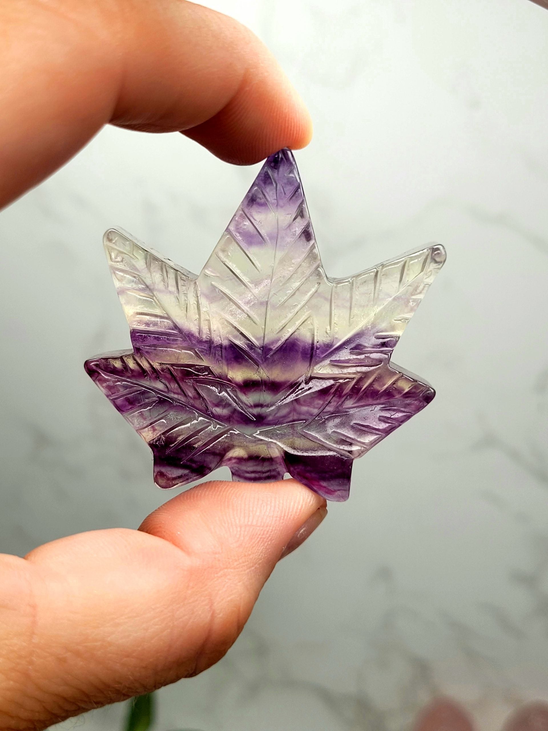 Fluorite Leaf - Fluorite 1 image