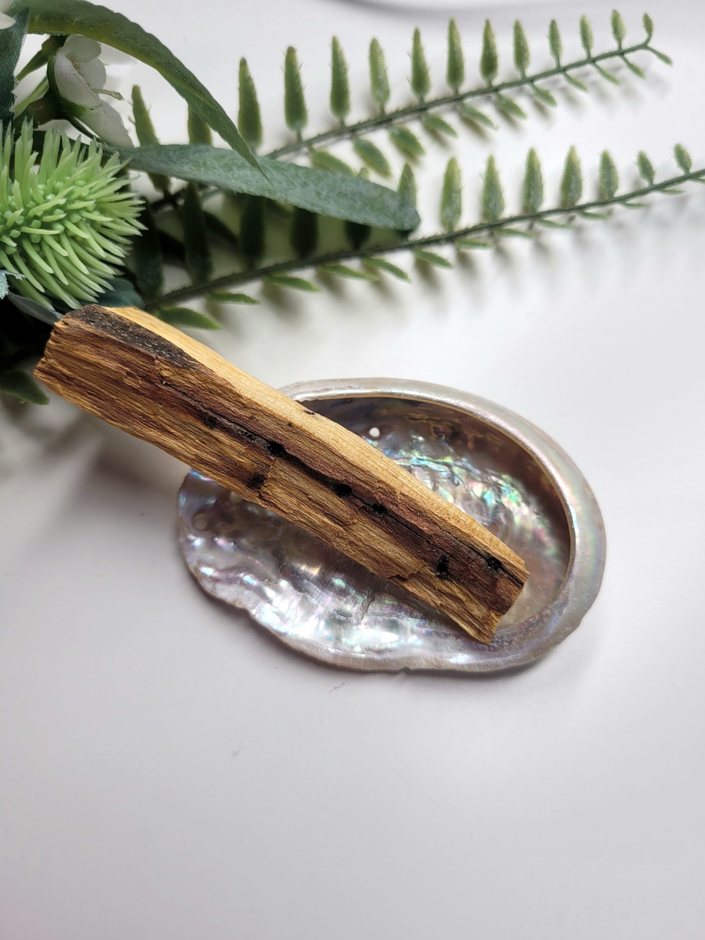 Palo Santo & Mini Abalone shell image 1