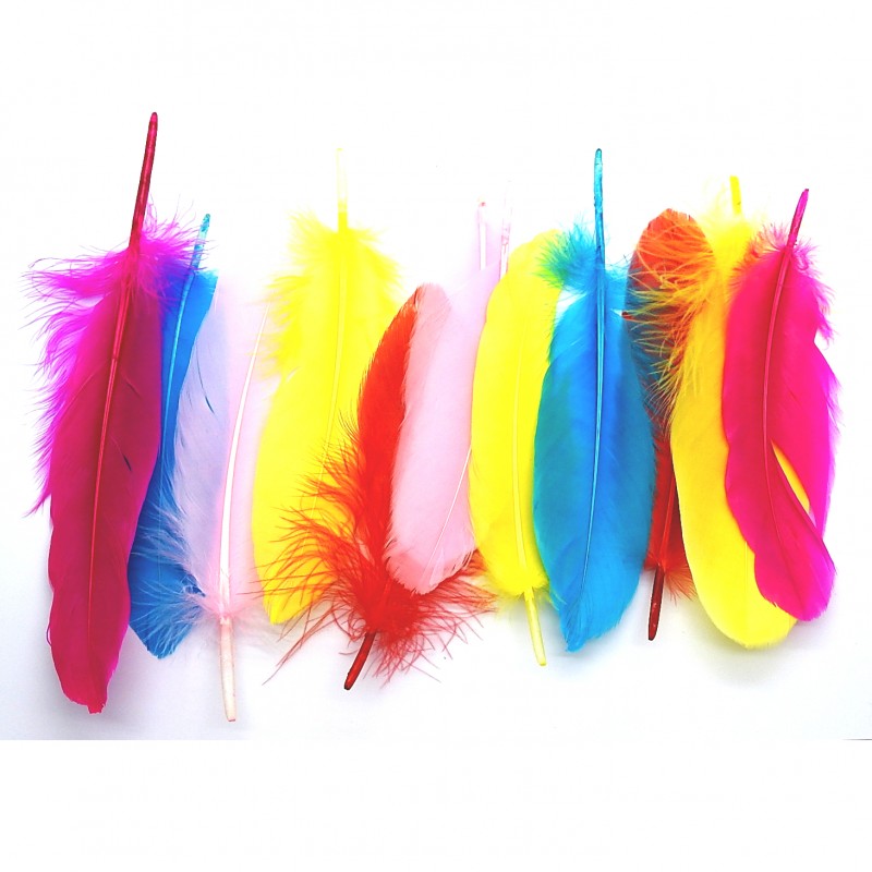 Smudging Feather-Large image 0