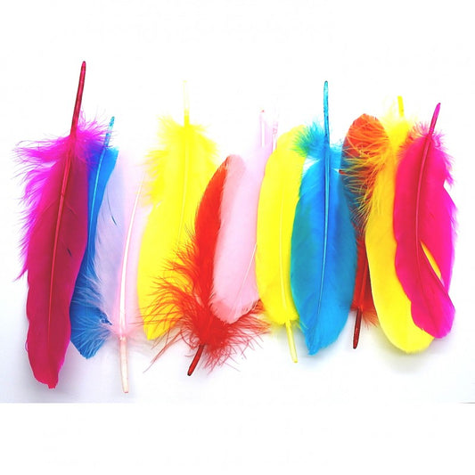 Smudging Feather-Large image 0