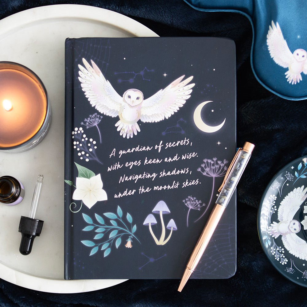 Owl Journal & Sodalite pen image 0