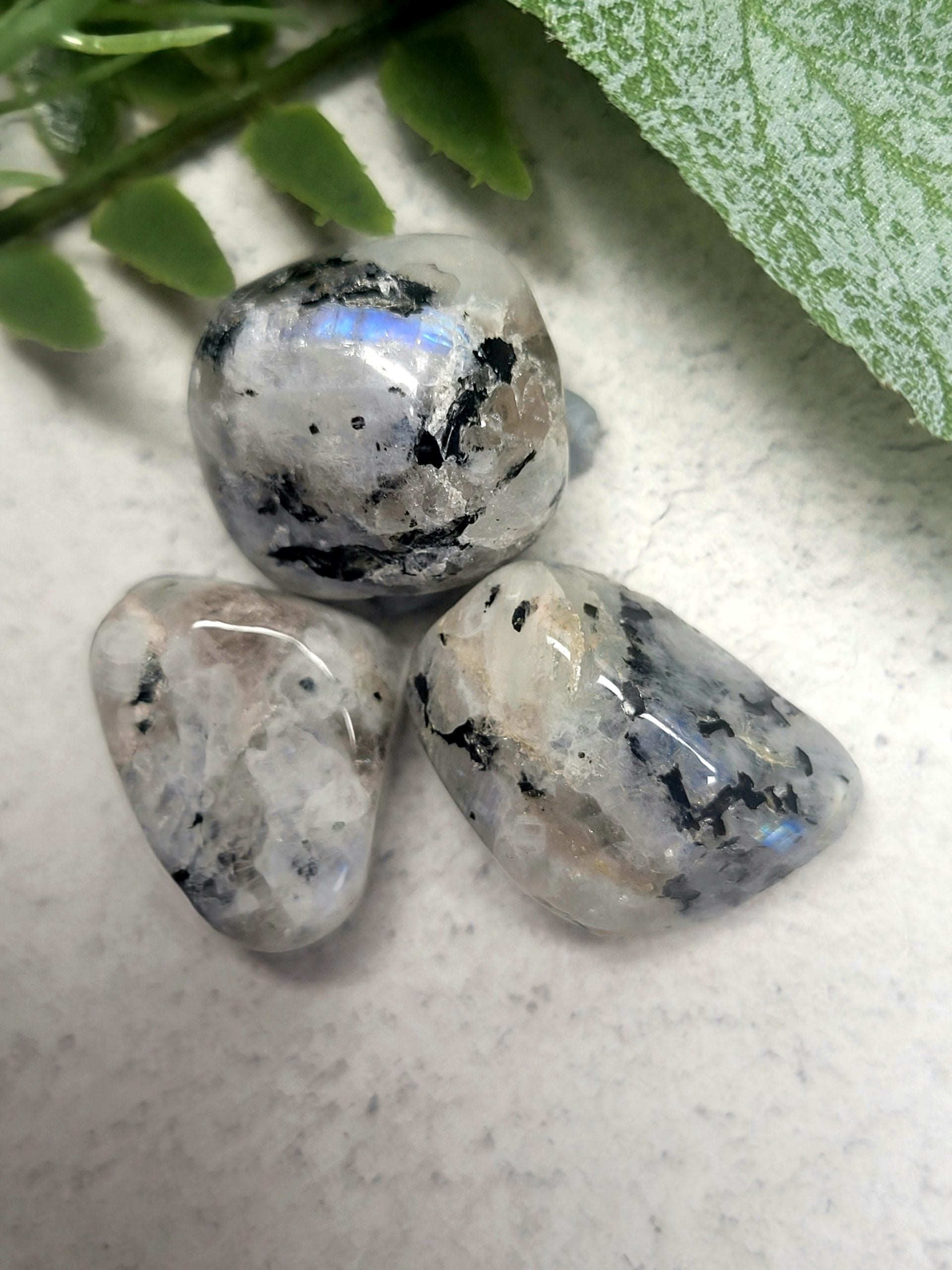 Rainbow Moonstone Tumble stone image 1