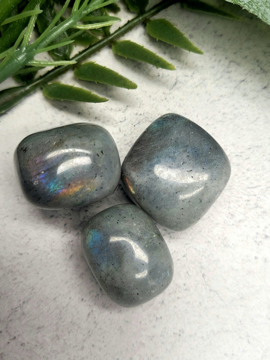 Labradorite Tumble Stone image 0