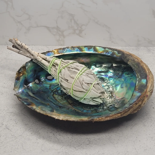 Abalone Shell image 1