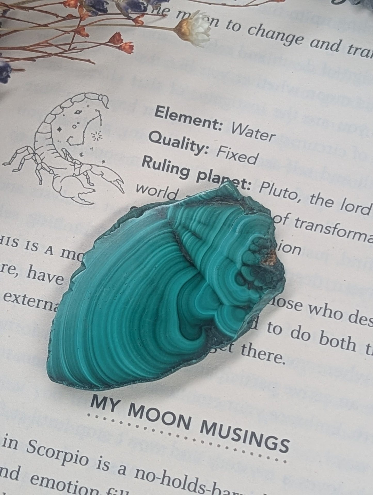 Malachite Slices - One image